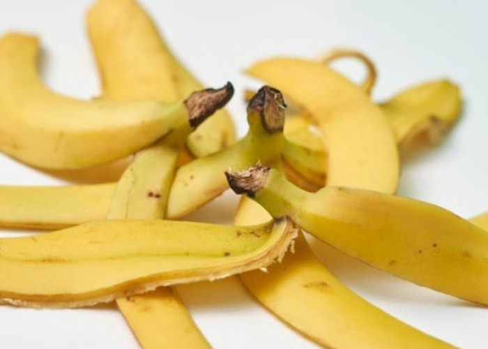 Ampuh Ringankan Sakit Kepala hingga Redakan Emosi, Berikut Manfaat Kulit Pisang untuk kesehatan 
