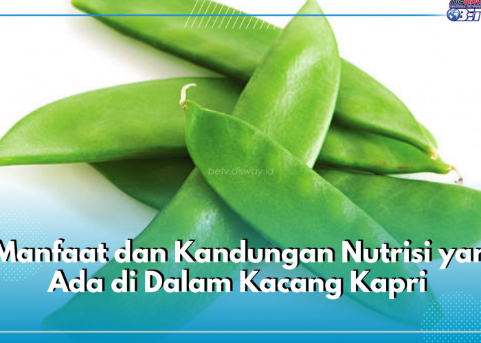 7 Manfaat dan Kandungan Nutrisi yang Ada di Dalam Kacang Kapri, Baik untuk Kesehatan Tubuh