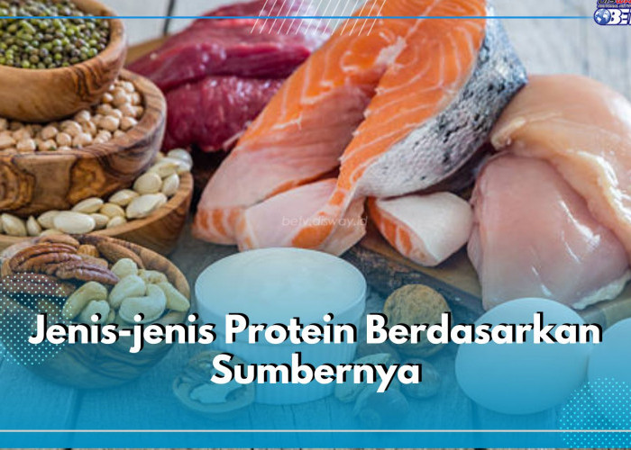 6 Jenis Protein Berdasarkan Sumbernya, Ada Hewani hingga Protein Suplementasi