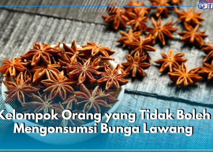 6 Kelompok Orang Ini Tak Boleh Konsumsi Bunga Lawang, Salah Satunya Wanita Hamil