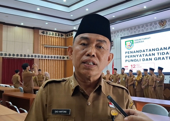 Persiapan Idul Adha, Pemprov Bengkulu Kumpulkan 22 Sapi Kurban dari OPD