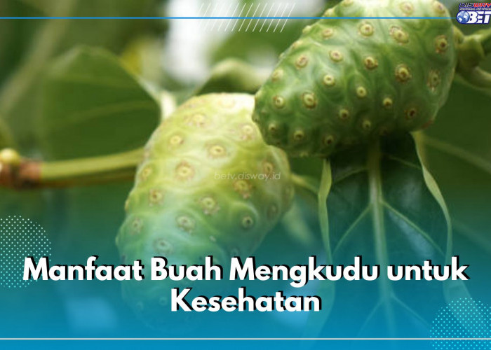 6 Manfaat Tak Terduga Buah Mengkudu untuk Kesehatan, Bisa Bantu Kurangi Nyeri Sendi