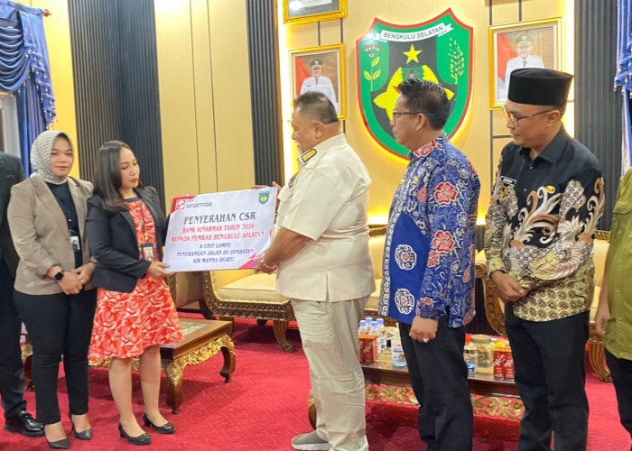 Sinergi Pemda dan Bank Sinarmas, Jembatan Air Manna Duayu Kini Dilengkapi Lampu Jalan