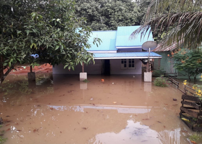 10 Kecamatan di Bengkulu Utara Terdampak Banjir dan Longsor