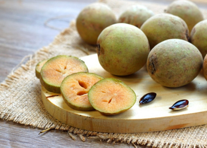 Konsumsi Buah Sawo dengan Rutin Bisa Hasilkan Segudang  Manfaat Kesehatan, Cek Disini!
