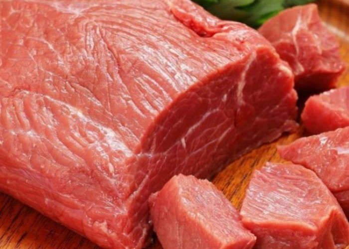Kaya Zat Besi dan Nutrisi, 7 Makanan yang Dapat Membantu Mengatasi Anemia