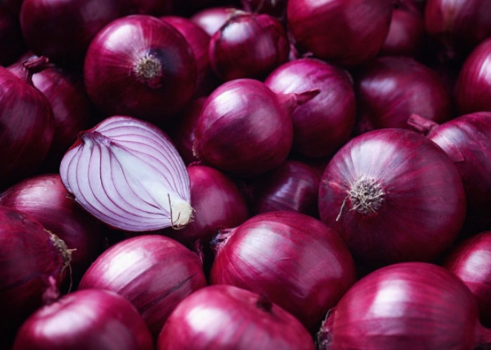Dikenal Sebagai Tanaman Tertua, Ini Fakta Unik yang Dimiliki Bawang Merah