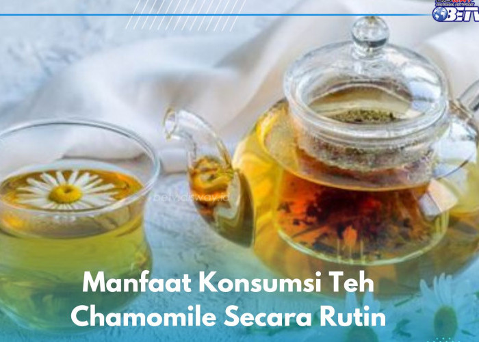 Cukup Konsumsi Teh Chamomile Ini, Dijamin Ampuh Meredakan Stres, Cek Manfaat Lainnya