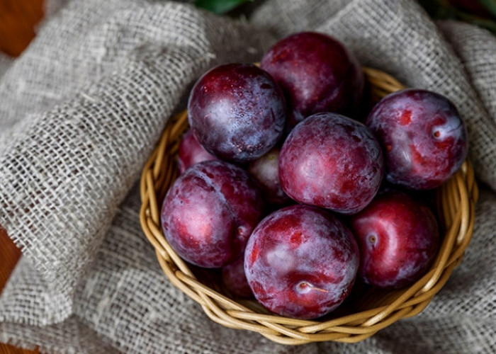 Ini Ragam Jenis Buah Plum dengan Karakteristiknya yang Menarik, Ada Japanese hingga Satsumsa