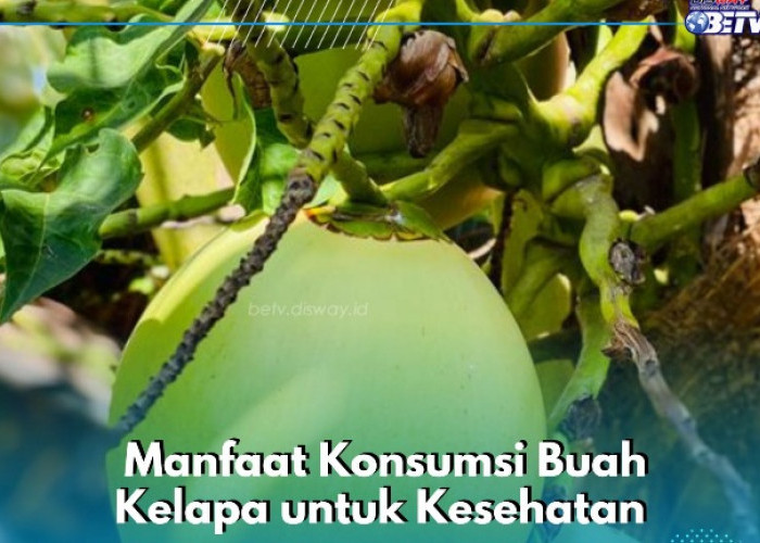 Manfaat Lain Buah Kelapa bagi Tubuh, Baik untuk Kesehatan Rongga Mulut, Cek di Sini