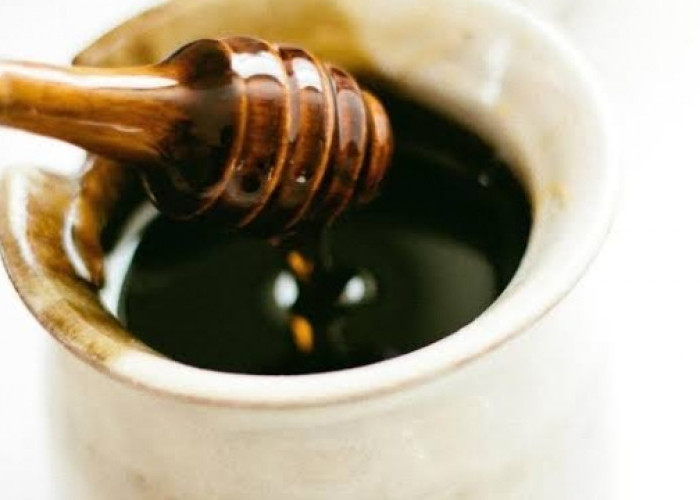 Taukah Kamu? Konsumsi Madu Hitam Bagus untuk Jaga Kesehatan Tubuh, Cek Disini Manfaatnya!