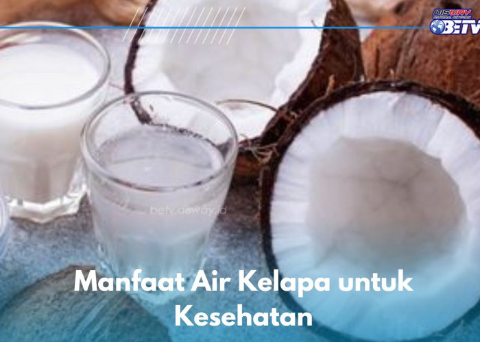 Baik untuk Kesehatan, Ini 6 Manfaat Minum Air Kelapa yang Jarang Diketahui