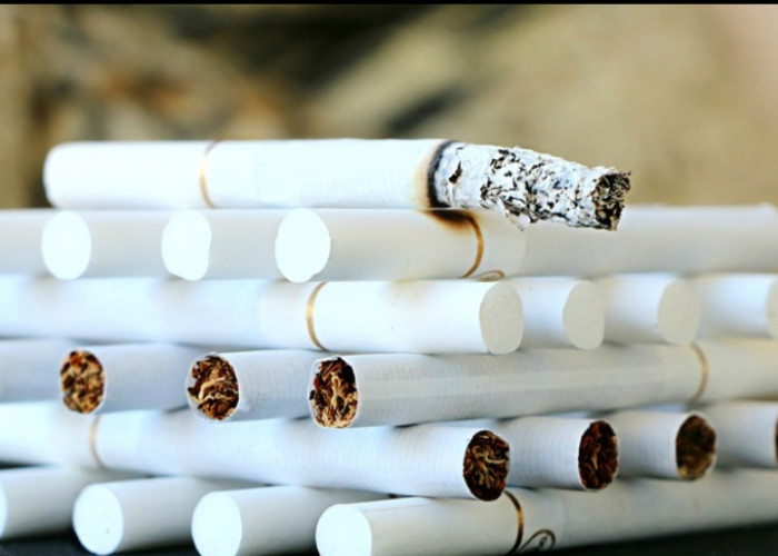 Awas! Ini Bahaya Merokok, Kandungan Zat Hingga Dampaknya Bagi Tubuh
