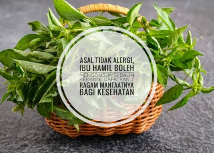 Asal Tidak Alergi, Ibu Hamil Boleh Mengonsumsi Daun Kemangi, Dapatkan 7 Ragam Manfaatnya bagi Kesehatan