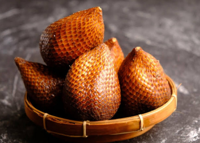 Konsumsi Buah Salak Dipercaya Bisa Tingkatkan Daya Ingat, Cek Manfaat Lengkapnya Disini!