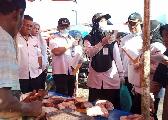 Ikan di Pasar Panorama Bengkulu Layak Untuk Dikonsumsi Masyarakat