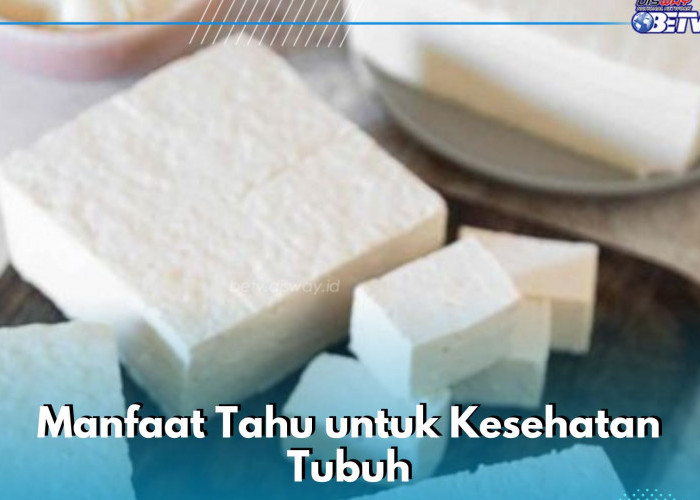 Perlu Diketahui, Ini 7 Manfaat Tahu bagi Kesehatan Tubuh, Dipercaya Menurunkan Kadar Kolesterol