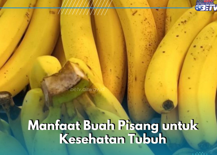 Kamu Perlu Tahu! Ini Manfaat Konsumsi Buah Pisang, Dapat Meredakan Tukak Lambung