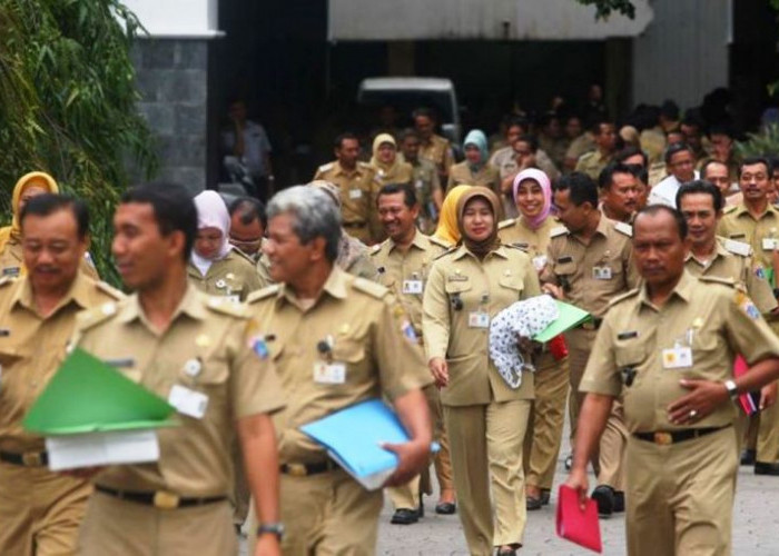 PPPK di Provinsi Bengkulu Dipastikan Dapat Tunjangan Jabatan Fungsional