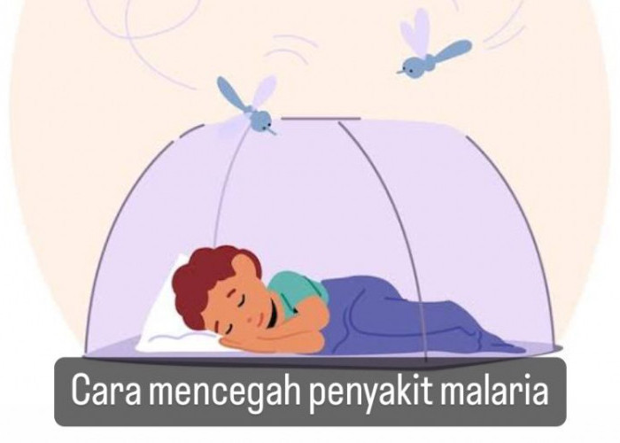  Wajib Lakukan 6 Hal Ini Agar Terhindar dari Penyakit Malaria, Nomor 1 Gunakan Kelambu Saat Tidur