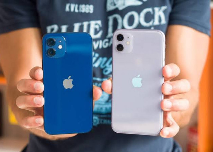 Cek Perbandingan Spesifikasi iPhone 11 dan 12 per Maret 2024, Kira-kira Lebih Unggul yang Mana?