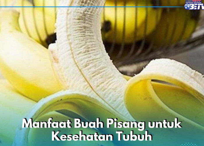 Cukup Konsumsi Pisang Secara Rutin, Baik untuk Kesehatan Jantung, Ini Manfaat Lainnya