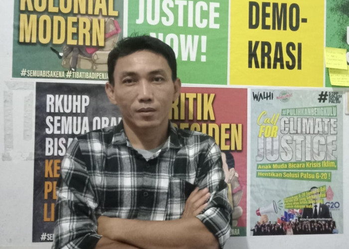 Walhi Kecam Aksi Masyarakat yang Tebang Pohon Cemara di Pantai Panjang
