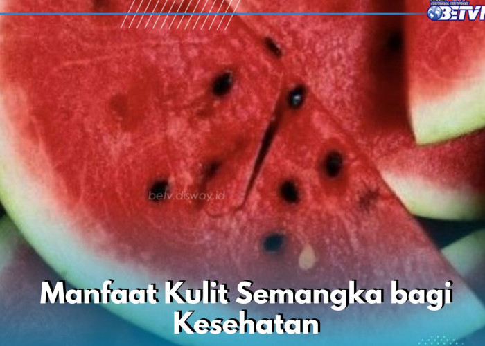 Wow, Kulit Semangka Ampuh Meningkatkan Stamina hingga Menjaga Kehamilan, Ini Manfaatnya