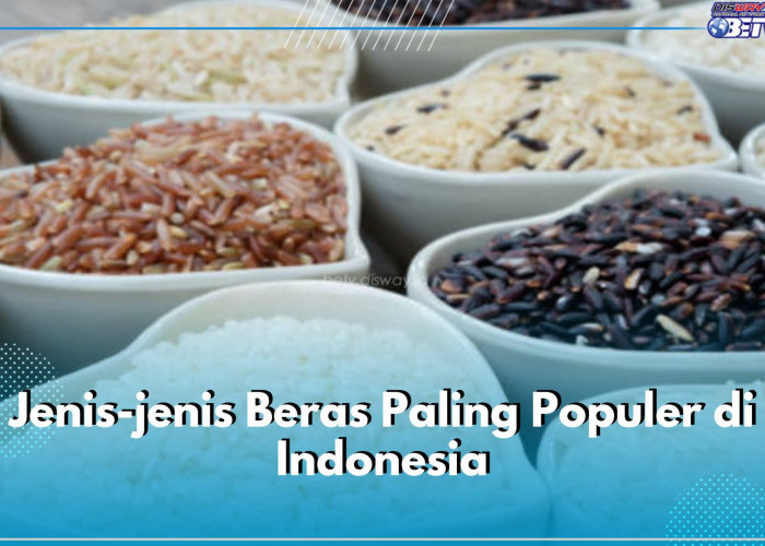 Ini 6 Jenis Beras Paling Terkenal di Indonesia, Ada Beras Merah hingga Beras Ketan