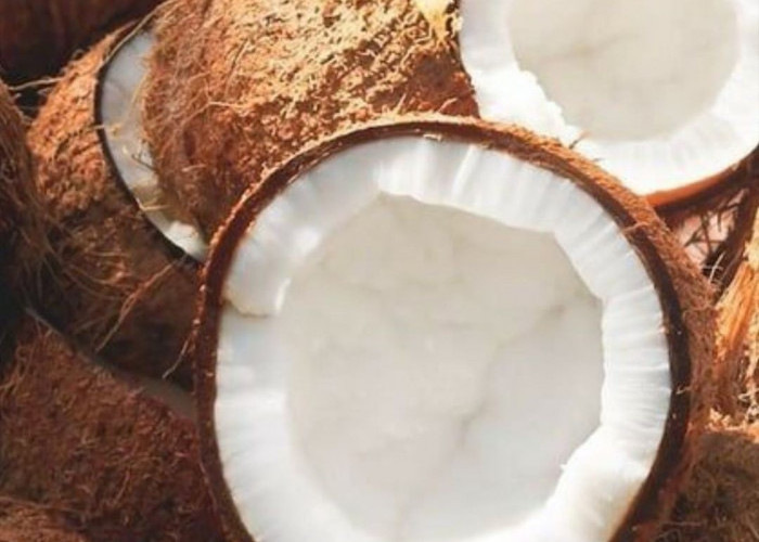 Bisa Konsumsi Secukupnya, 7 Manfaat Kelapa untuk Kesehatan Tubuh yang Perlu Diketahui