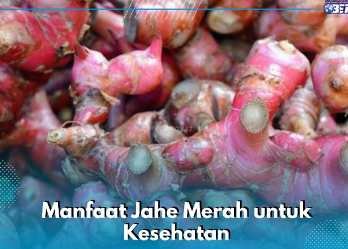 Manfaat Lain Jahe Merah yang Jarang Diketahui, Ampuh Menghambat Sel Kanker