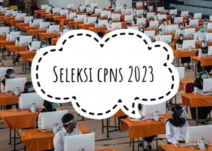 INFO Terbaru! CPNS 2023 Dibuka 18 September, Berikut Cara Daftar CPNS 2023 di sscasn.bkn.go.id
