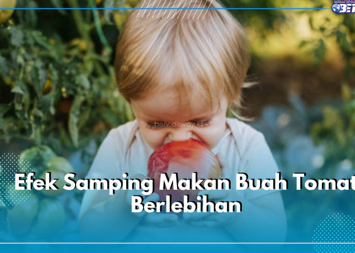 Terlalu Banyak Makan Tomat Bisa Sebabkan 5 Efek Samping Ini, Salah Satunya Nyeri Sendi