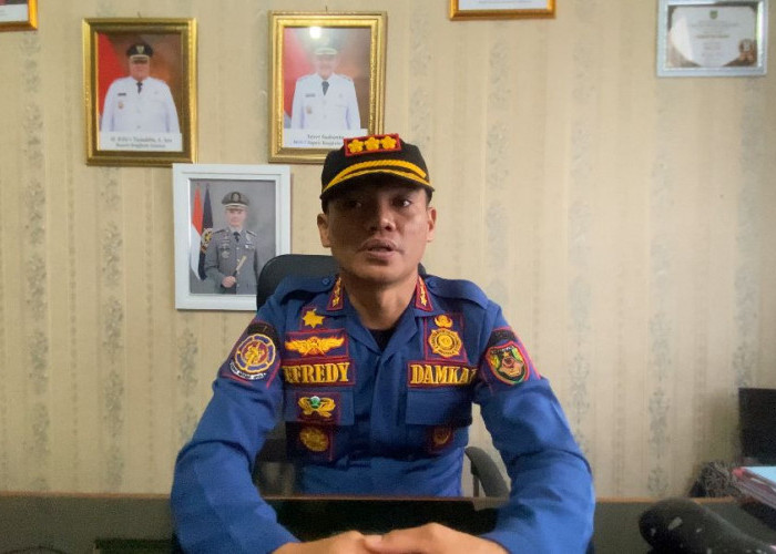 Satpol PP Bengkulu Selatan Intensif Tertibkan Ternak Liar, Keselamatan Pengendara Jadi Prioritas