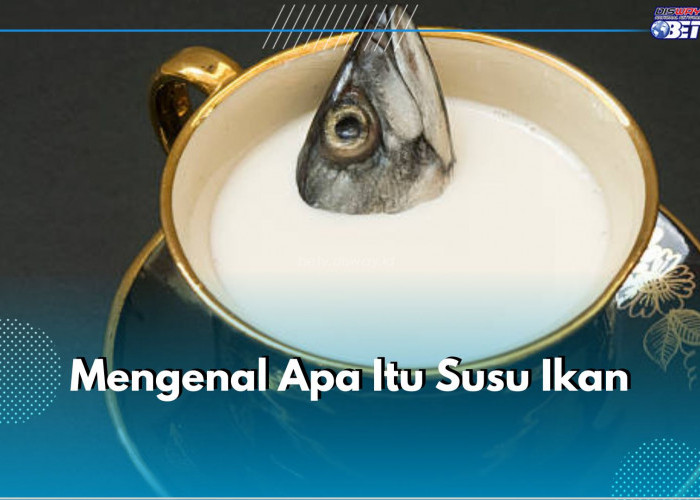 Mengenal Susu Ikan yang Lagi Ramai Dibahas, Bisakah Jadi Alternatif Susu Sapi?