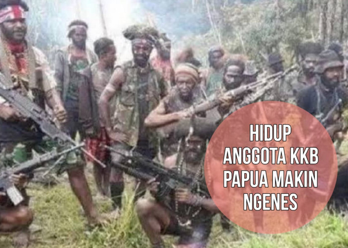 Pemasok Senjata Ditangkap, Hidup Anggota KKB Papua Makin Terhimpit dan Ngenes di Hutan