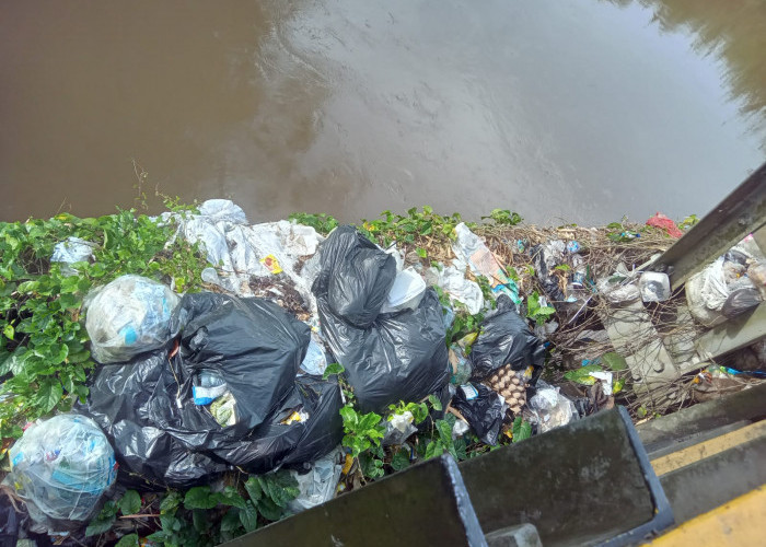 Miris! Tumpukan Sampah di Jembatan Rawa Makmur Ulah Oknum Tak Bertanggung Jawab, Pemkot Perlu Pasang CCTV