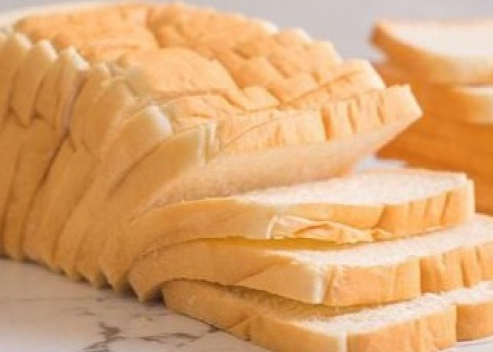 Kenali Penyebabnya, Ini Makanan yang Bisa Bikin Cepat Lapar, Kamu Perlu Tahu 