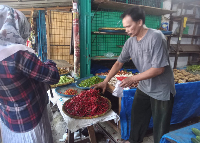 Harga Cabai Merah di Pasar Panorama Terpantau Kembali Turun, Ayam Potong Stabil