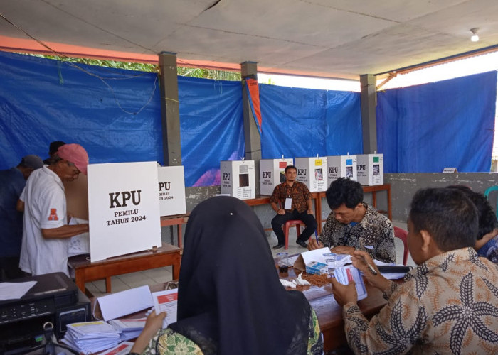 Soal PSU di TPS 5 Kelurahan Napal, Trizaki Akui Dapat 5 Kertas Suara