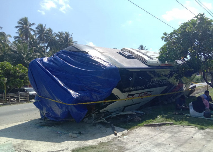 Diduga Mengantuk, Bus Angkut 36 Orang Alami Kecelakaan di Kaur