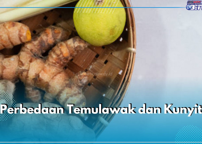 Tidak Sama, Ini Perbedaan Temulawak dan Kunyit yang Perlu Kamu Ketahui