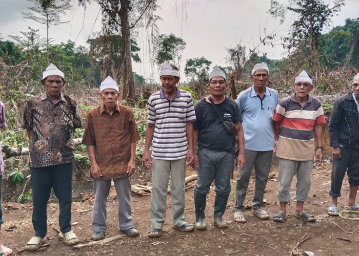 Hutan Tua Enggano Diduga Disertifikatkan Sepihak, Suku Adat Desak BPN Usut Mafia Tanah