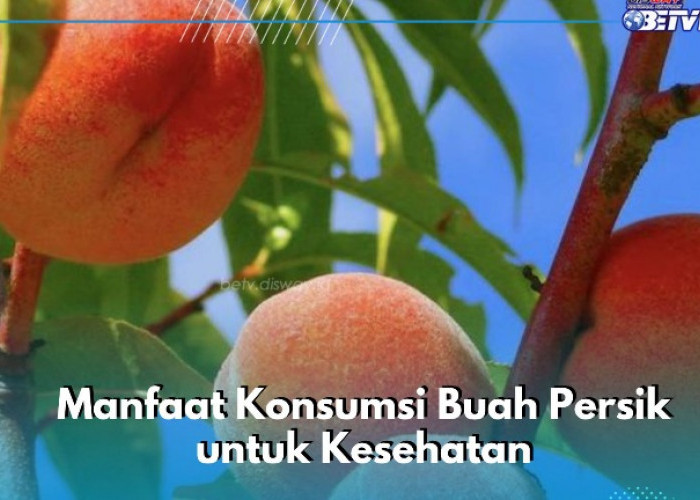 Cek di Sini! Manfaat dari Konsumsi Buah Persik, Ampuh Melancarkan Pencernaan