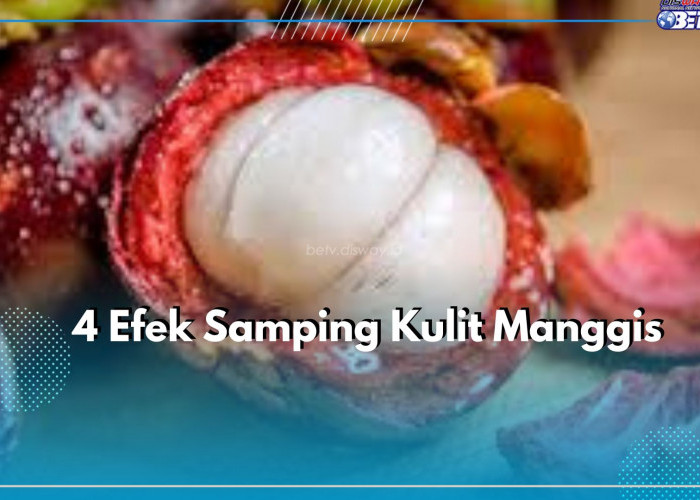 Jangan Berlebihan, Ketahui 4 Efek Samping Kulit Manggis, Picu Dampak Berbahaya Bagi Kesehatan