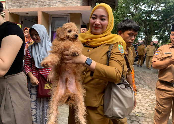 Peringati Hari Rabies Sedunia, Warga Bengkulu yang Memiliki Hewan Peliharaan Bisa Vaksinasi Gratis