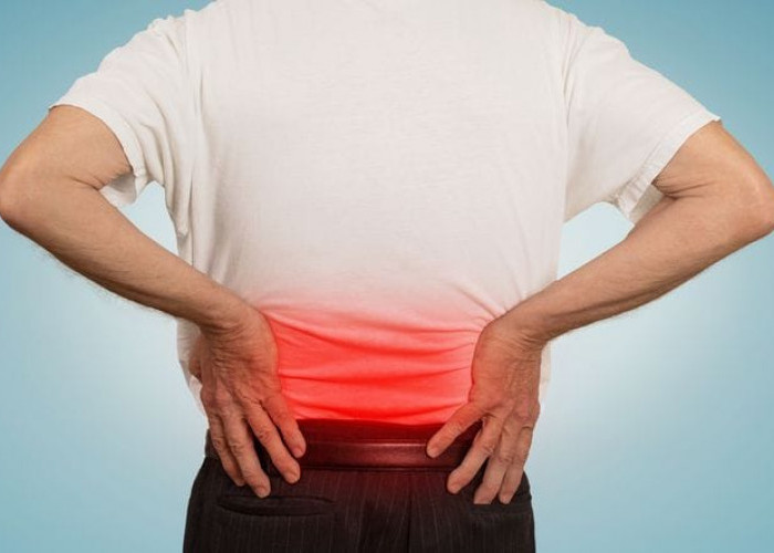 Penderita Osteoarthritis Wajib Tahu! Ini 7 Obat Herbal yang Direkomendasikan Baik untuk Mengatasi