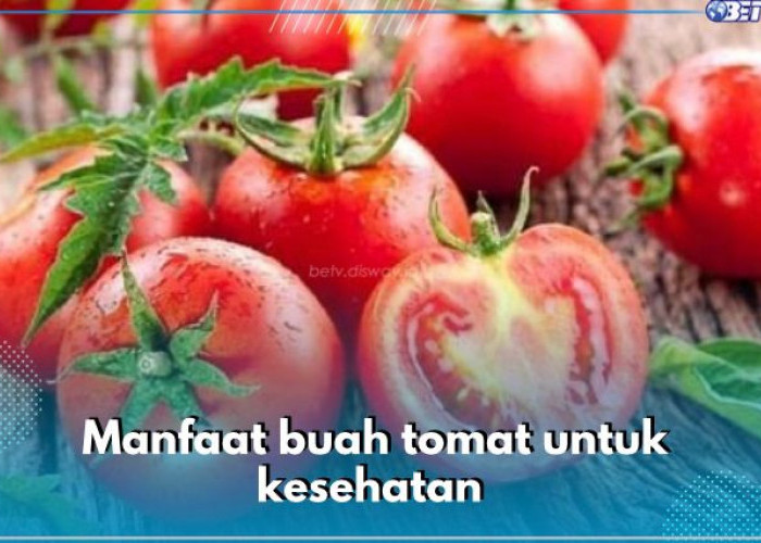 10 Manfaat Buah Tomat untuk Kesehatan, Salah Satunya Bantu Turunkan Kolesterol, Cek Kandungannya