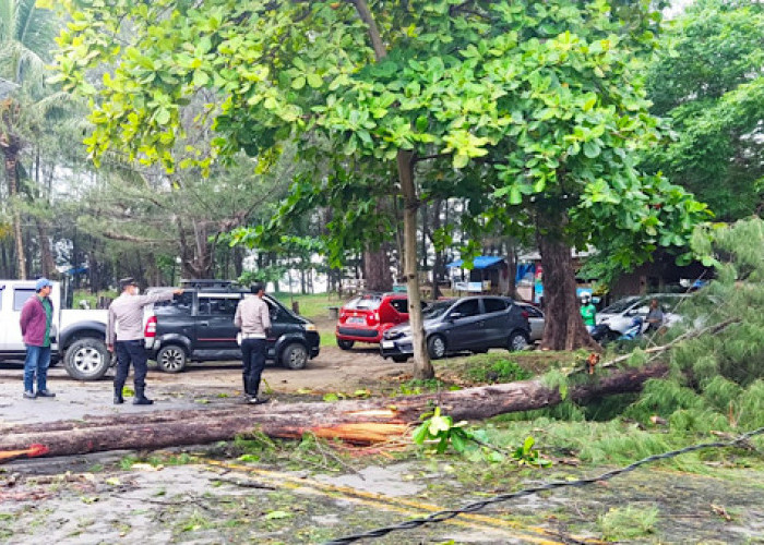 Waspada Potensi Angin Kencang, ini Wilayah Terdampak