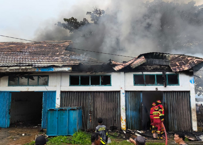 Gudang Ikan DKP Kota Bengkulu Diamuk Si Jago Merah, Ibu dan Balita Alami Luka Bakar